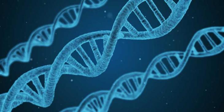 Disgen handledning - DNA-forskning med Disgen